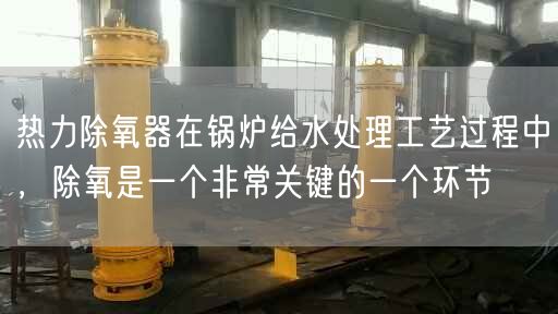 熱力除氧器在鍋爐給水處理工藝過程中，除氧是一個非常關(guān)鍵的一個環(huán)節(jié)
